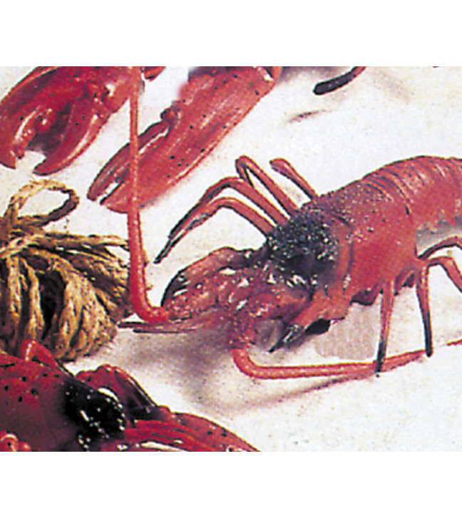 Lobster Prop 12"